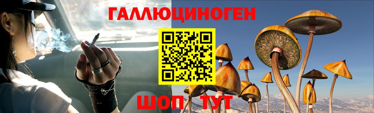 Галлюциногенные грибы прущие грибы Альметьевск
